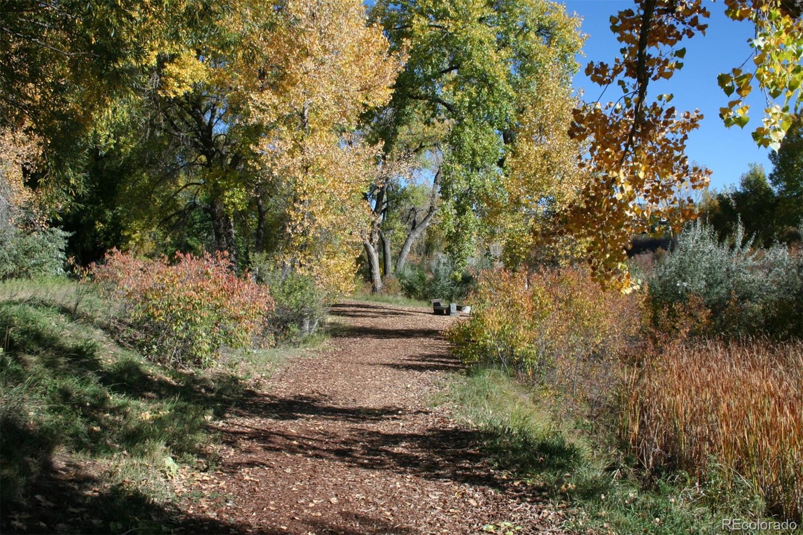 10735 Zuni Drive Denver CO 80234