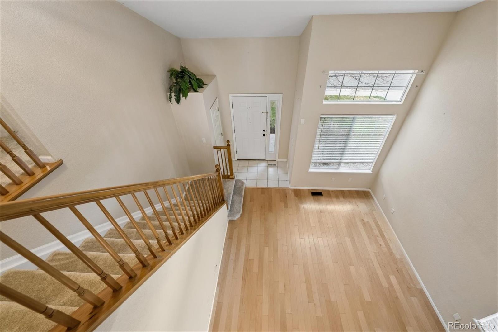 557 Stellars Jay Drive Highlands Ranch CO 80129