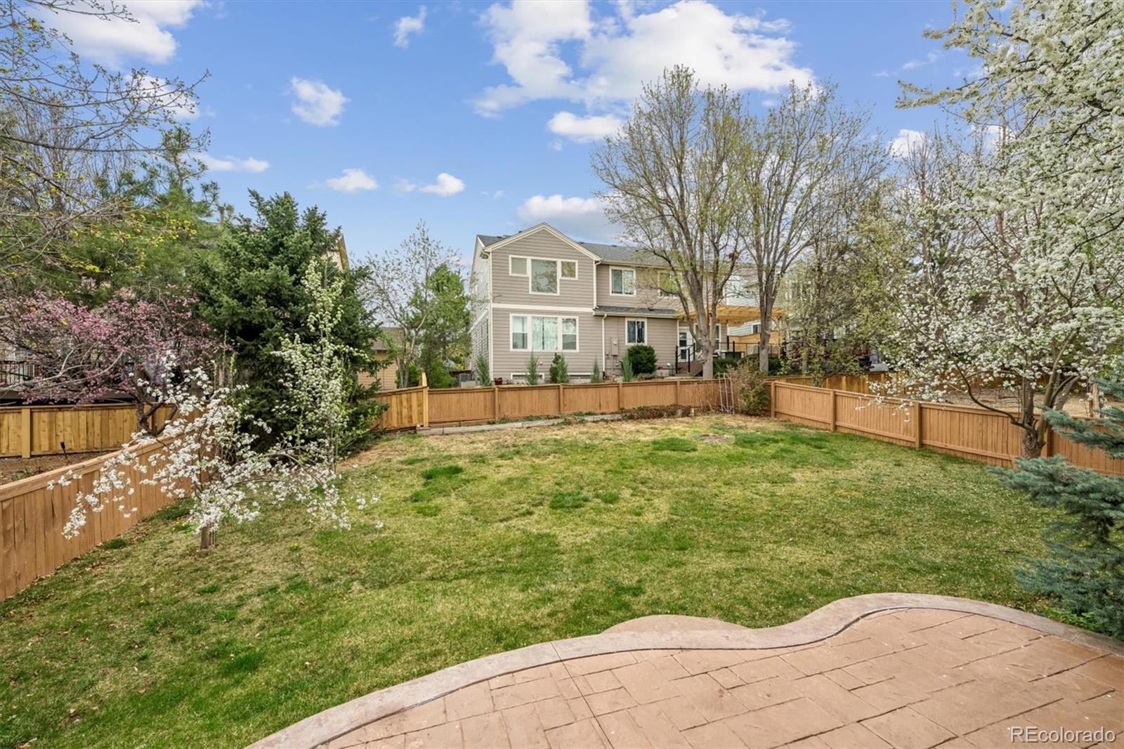 557 Stellars Jay Drive Highlands Ranch CO 80129