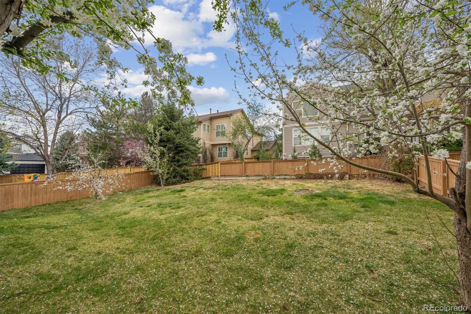 557 Stellars Jay Drive Highlands Ranch CO 80129