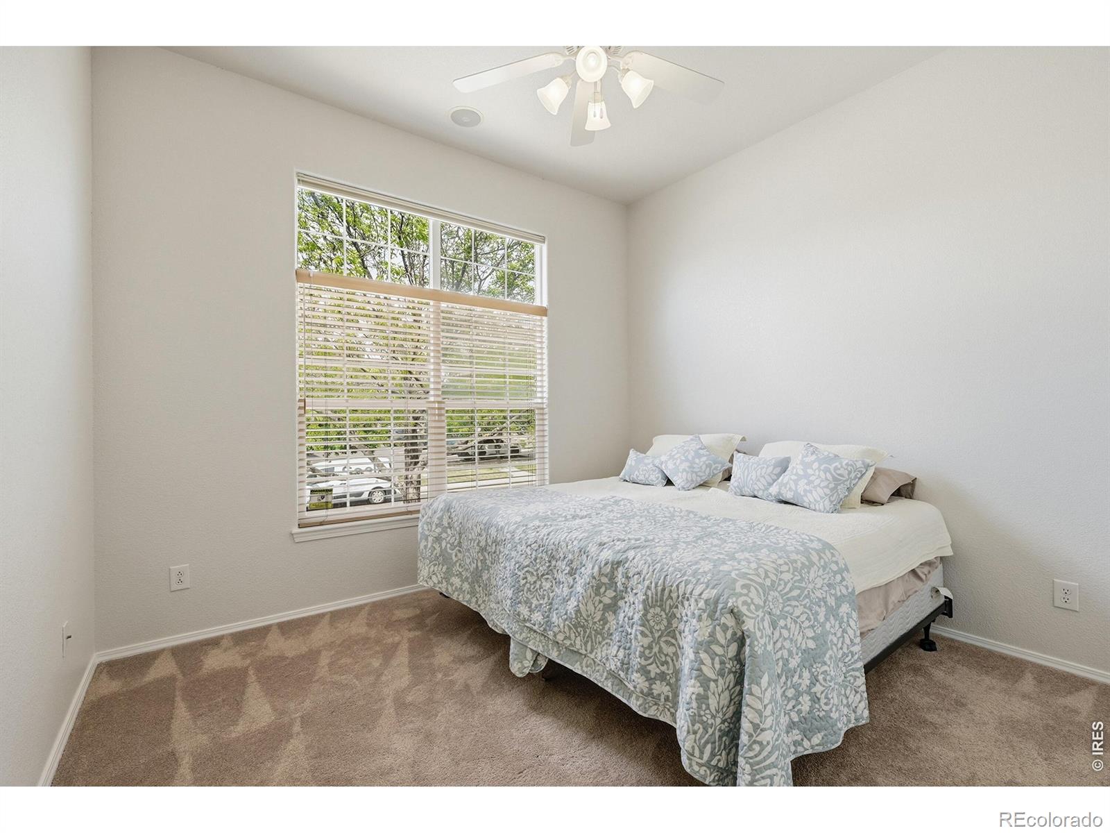 3910 E 127th Avenue Thornton CO 80241