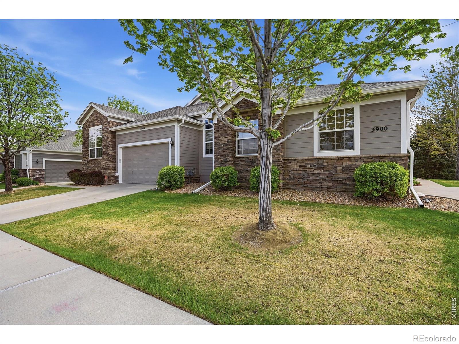3910 E 127th Avenue Thornton CO 80241