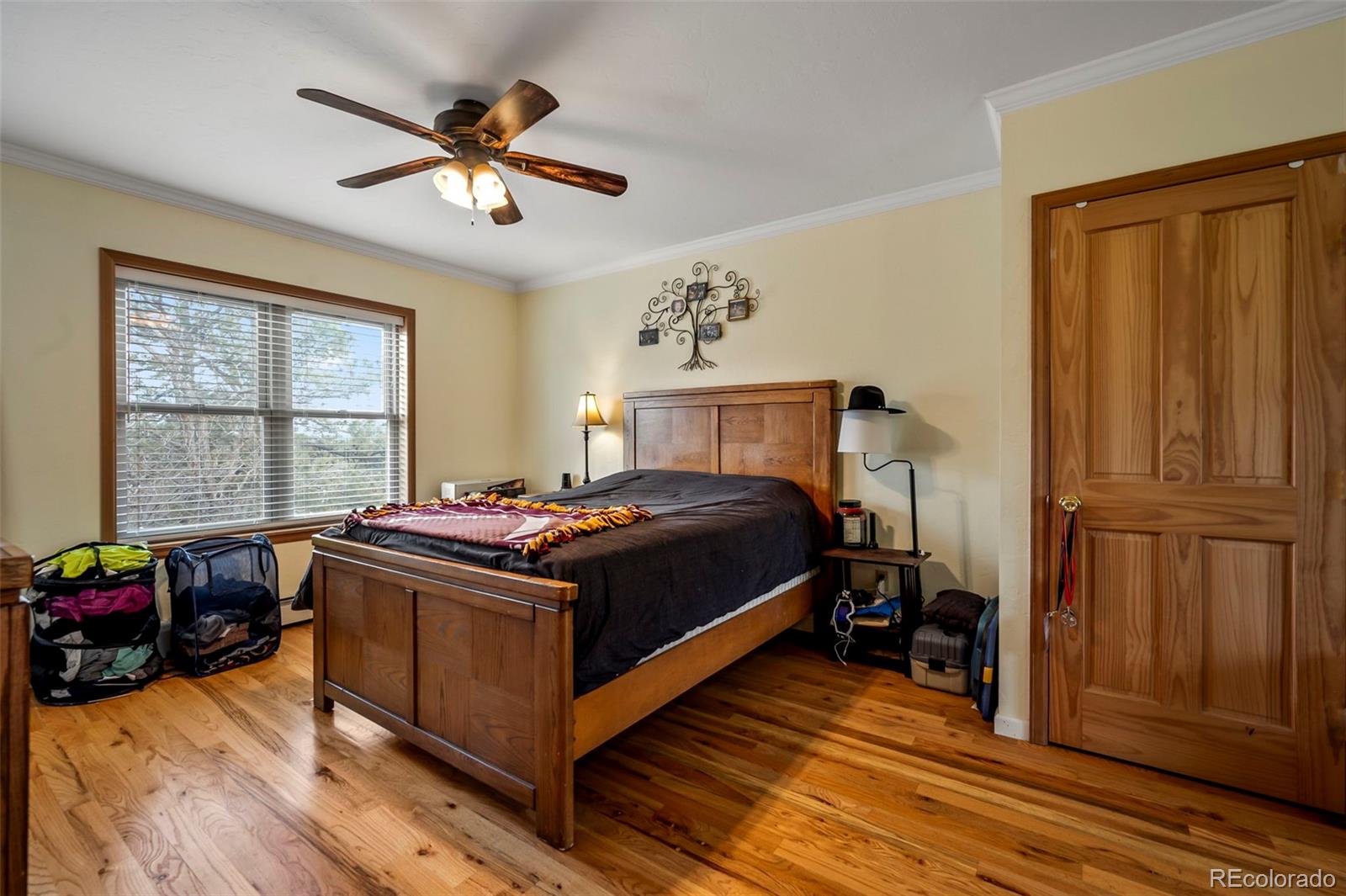 192 Walnut Street Palmer Lake CO 80133