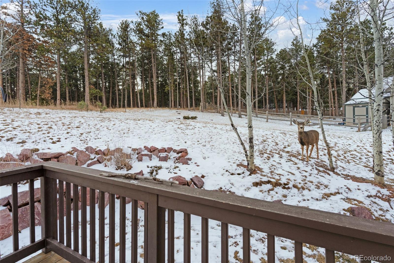 1157 Ptarmigan Drive Woodland Park CO 80863