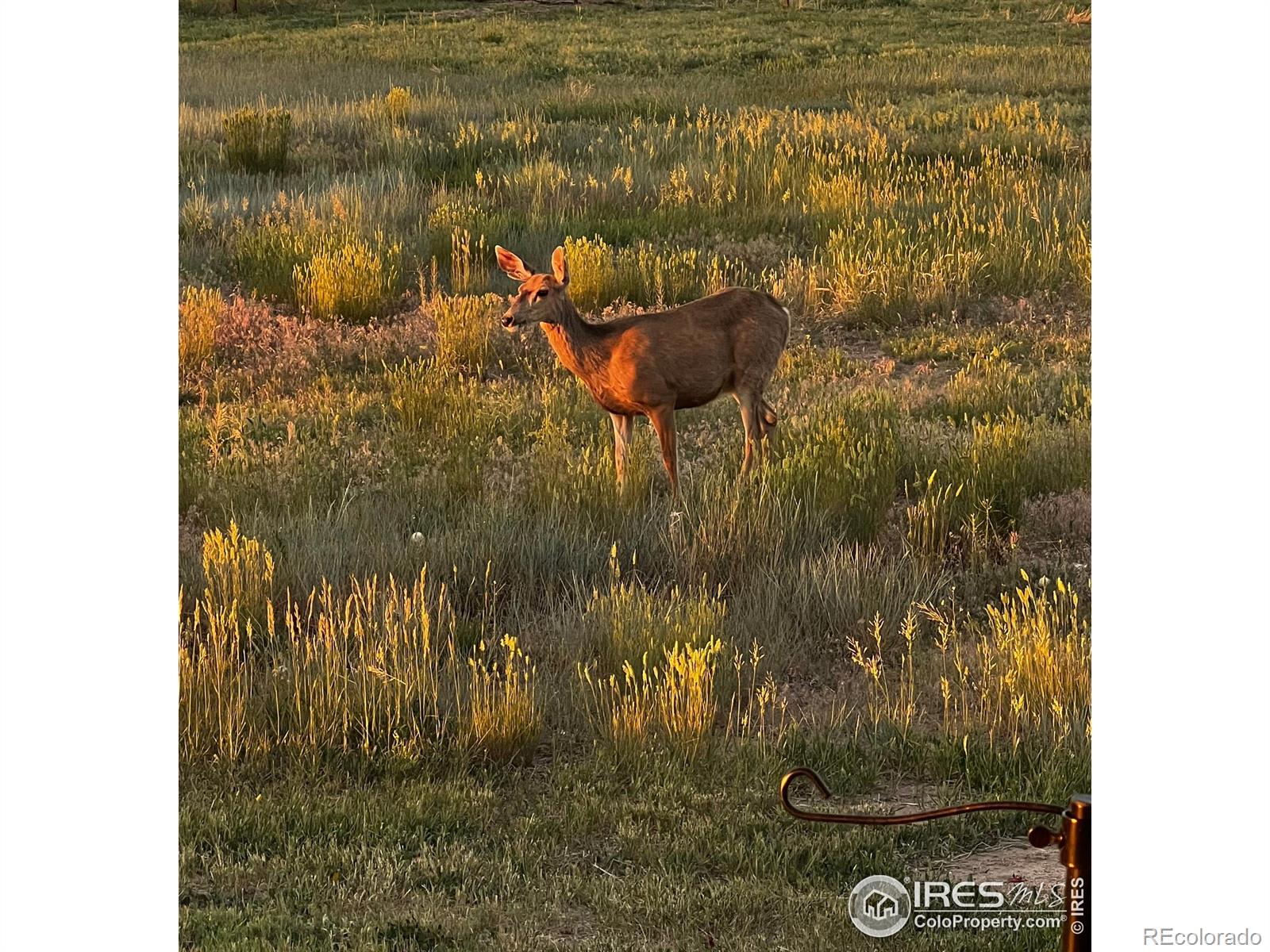 11837 County Road 39 Fort Lupton CO 80621