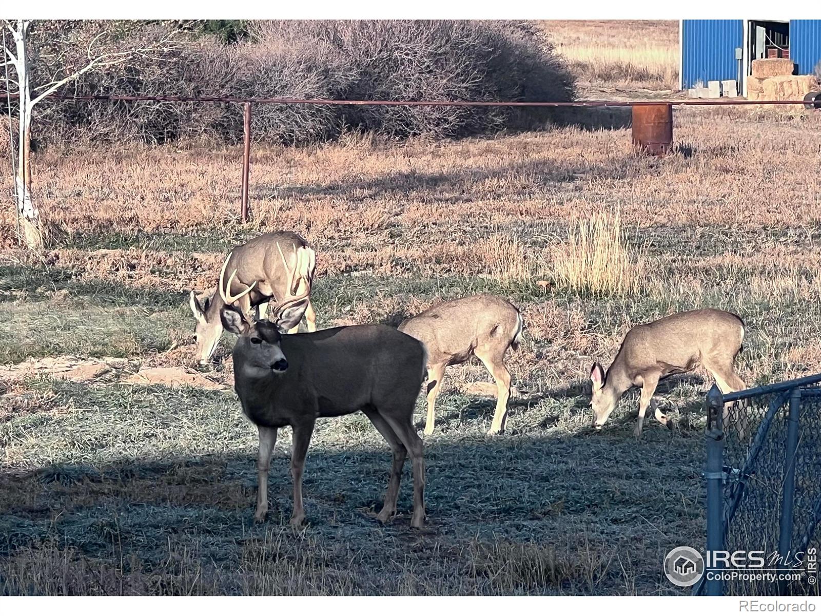 11837 County Road 39 Fort Lupton CO 80621