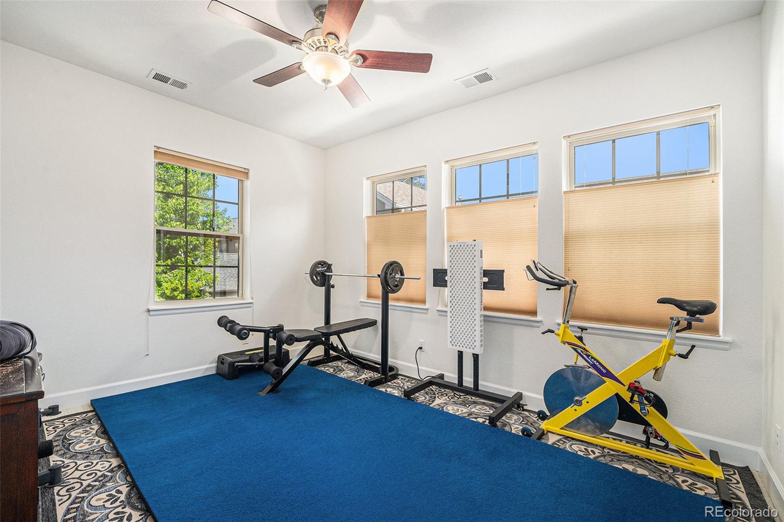 3357 Akron Court Denver CO 80238