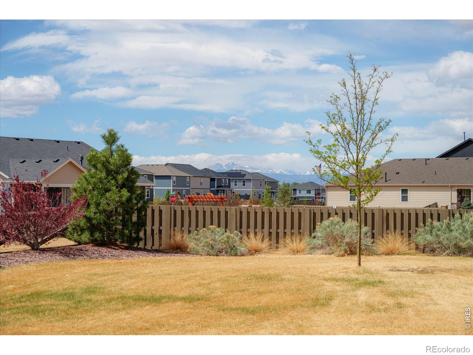 209 Silo Court Severance CO 80550