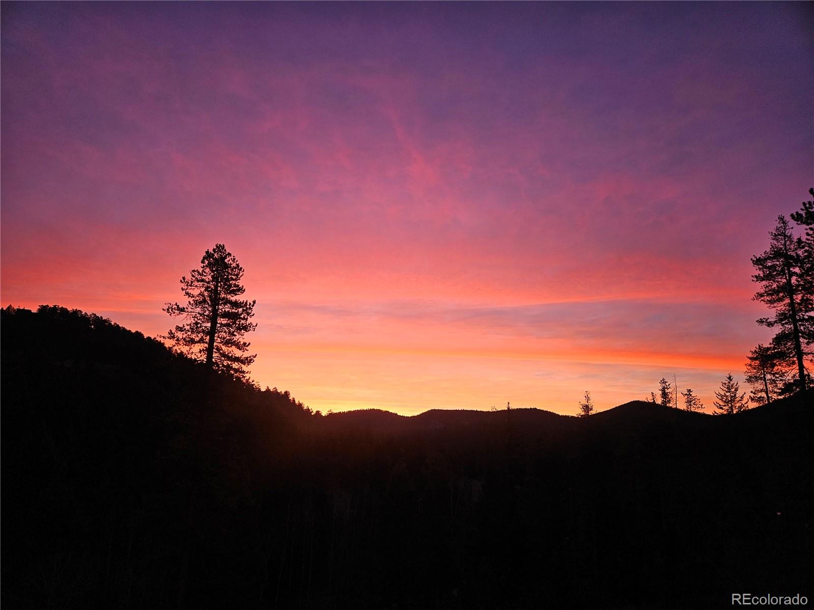 7291 Brook Forest Drive Evergreen CO 80439
