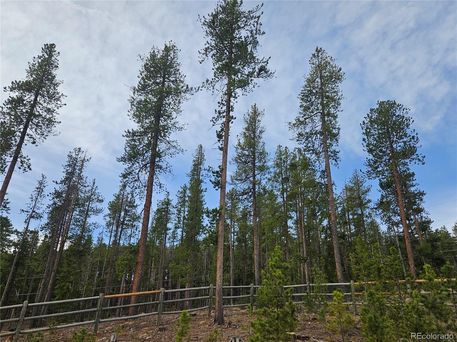7291 Brook Forest Drive Evergreen CO 80439
