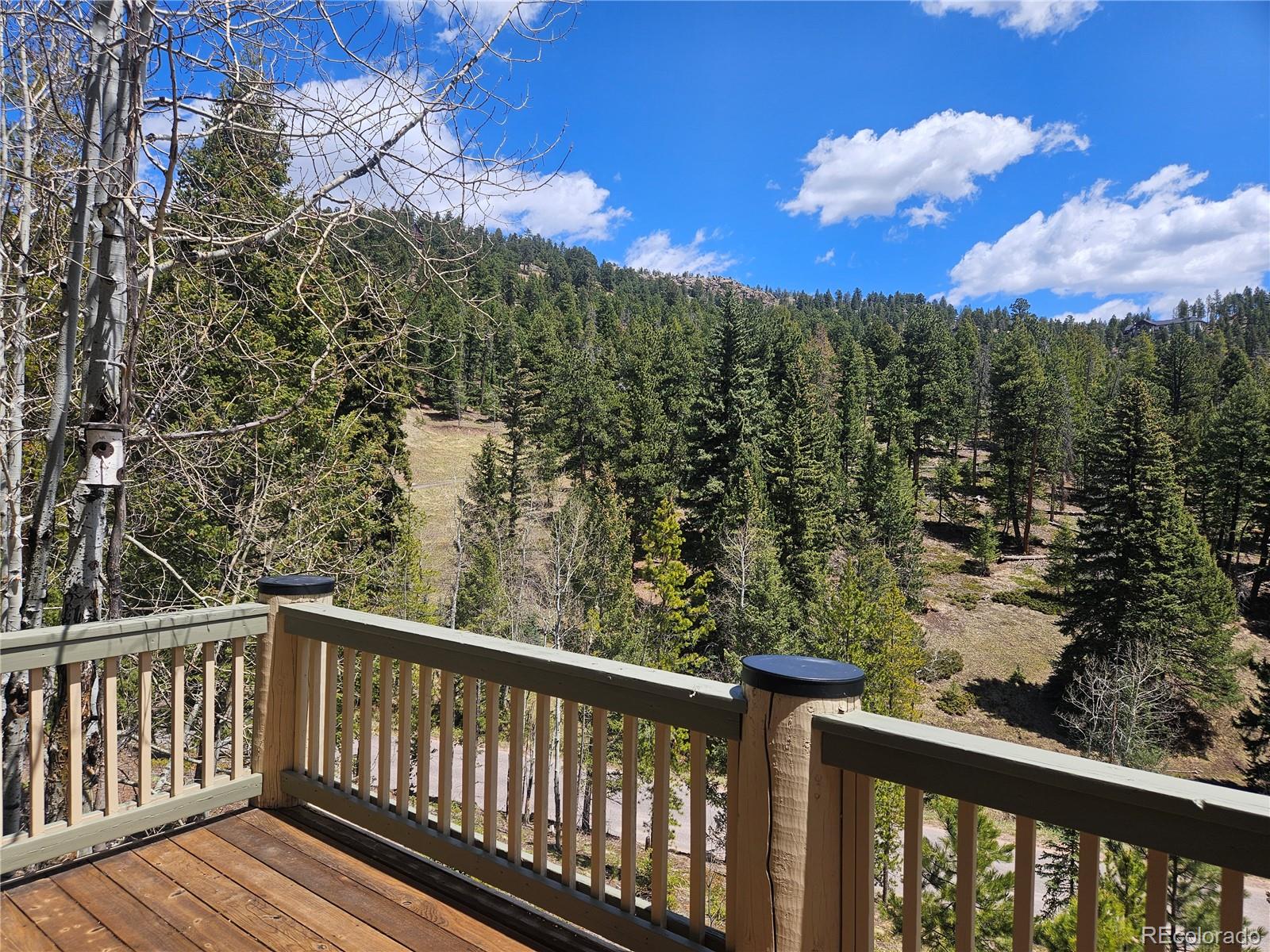 7291 Brook Forest Drive Evergreen CO 80439