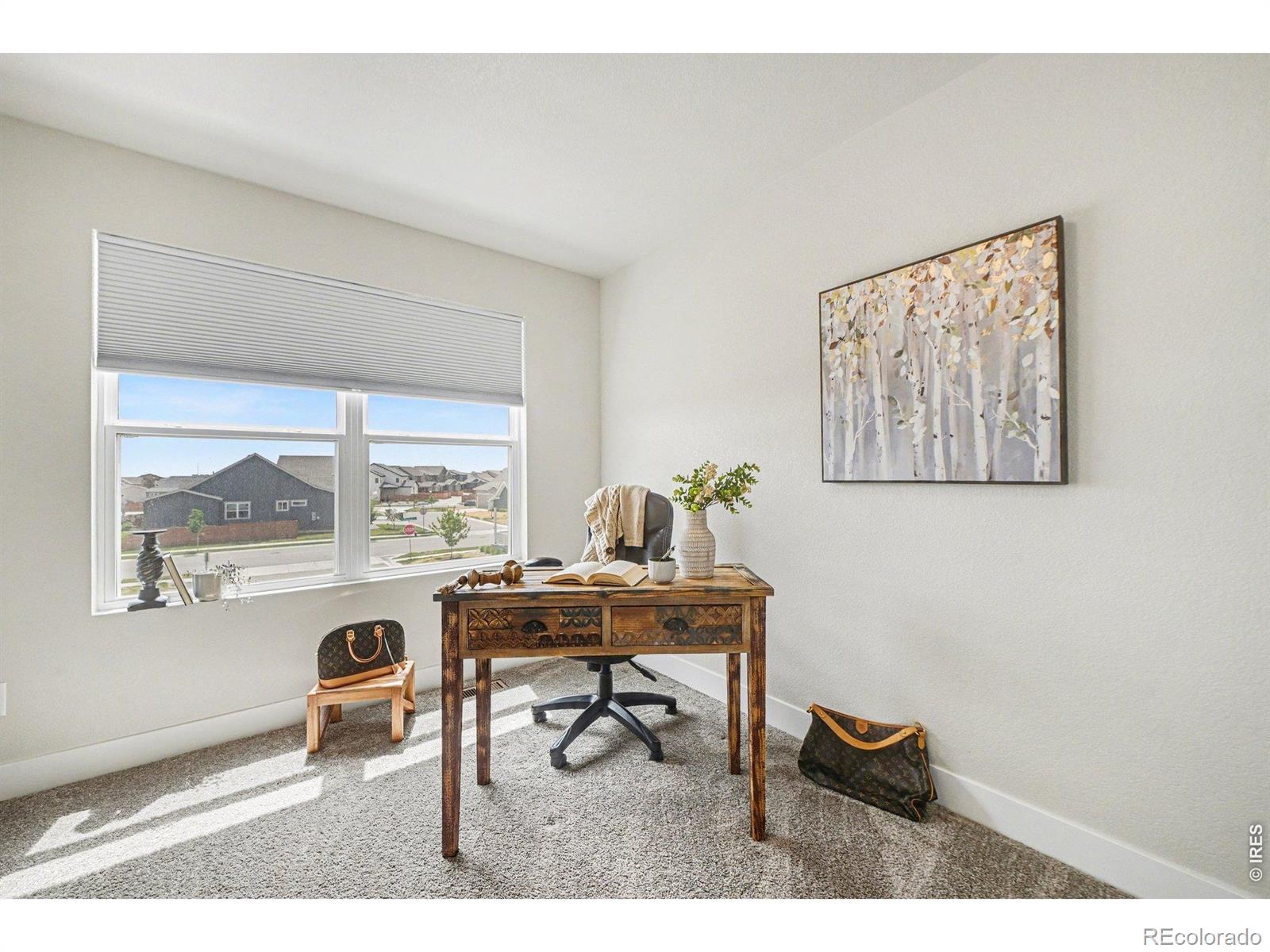 4984 Goya Court Loveland CO 80538