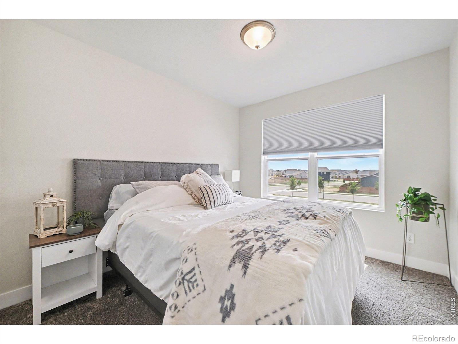 4984 Goya Court Loveland CO 80538