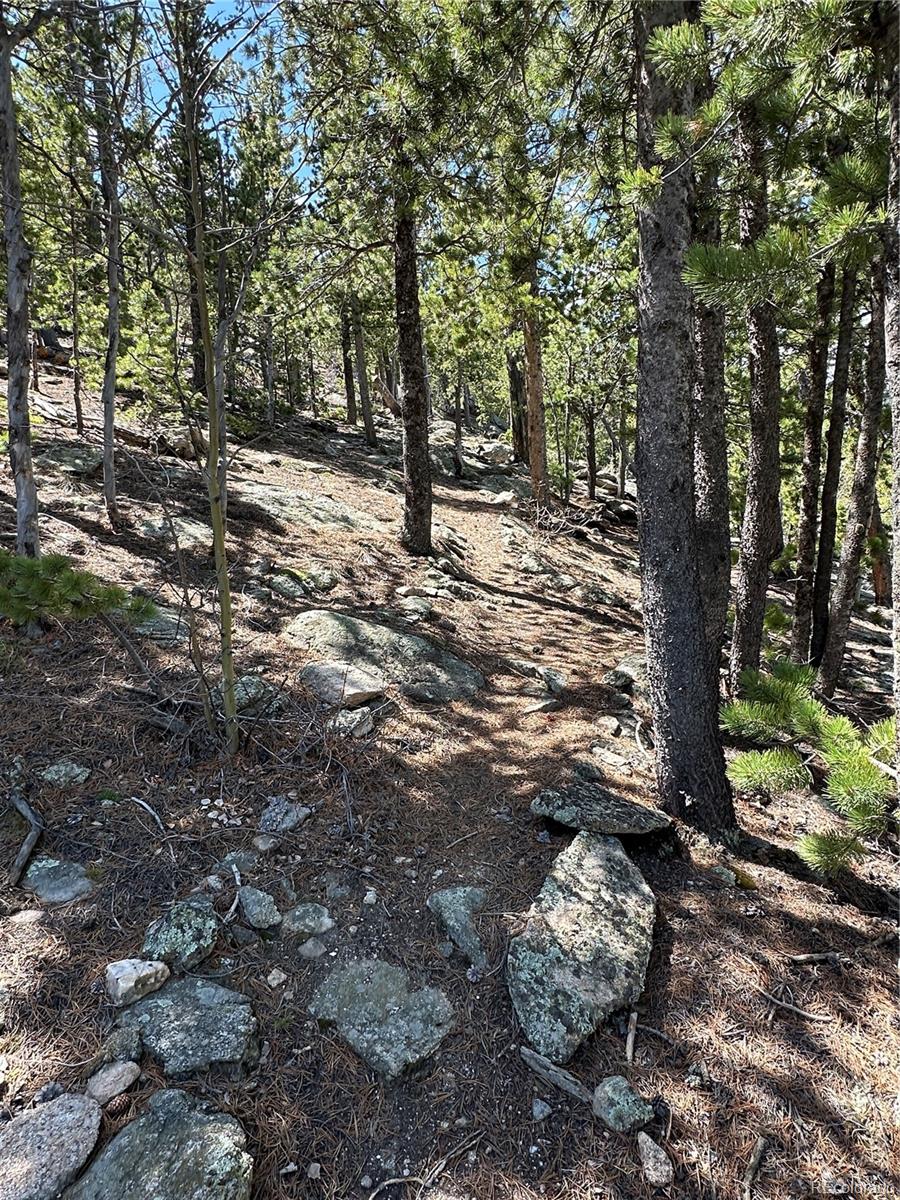 72 Rudi Ln W Golden CO 80403