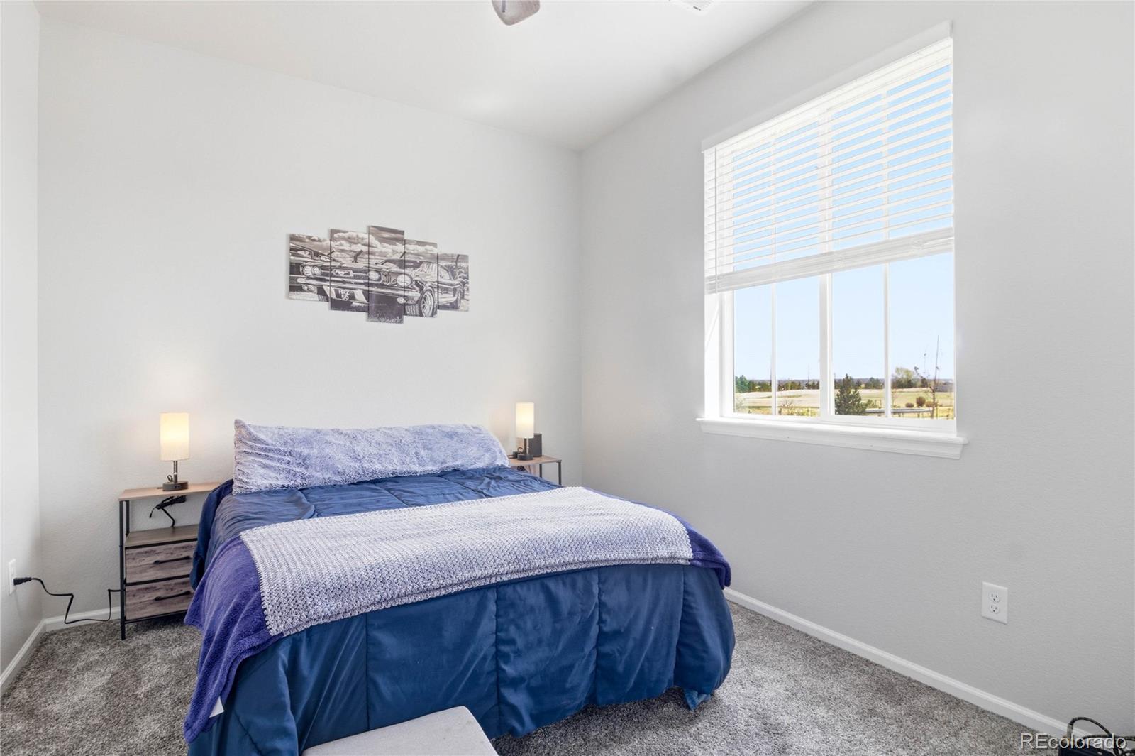 4461 Rapport Drive Castle Rock CO 80104