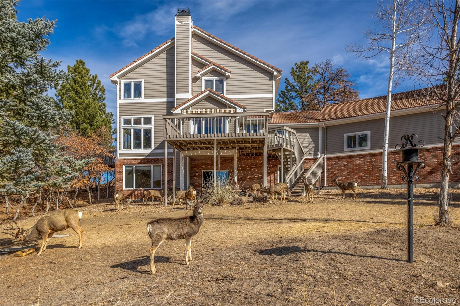 5953 Angie Court Parker CO 80134
