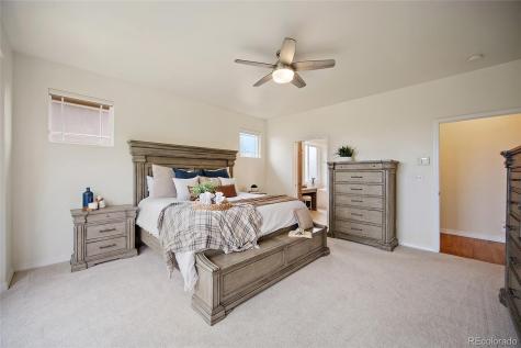 3135 Deergrass Place Colorado Springs CO 80920