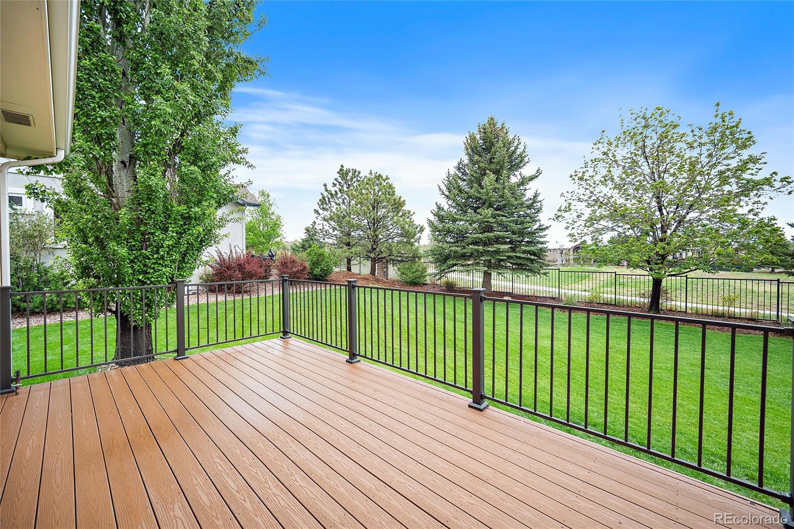 3135 Deergrass Place Colorado Springs CO 80920