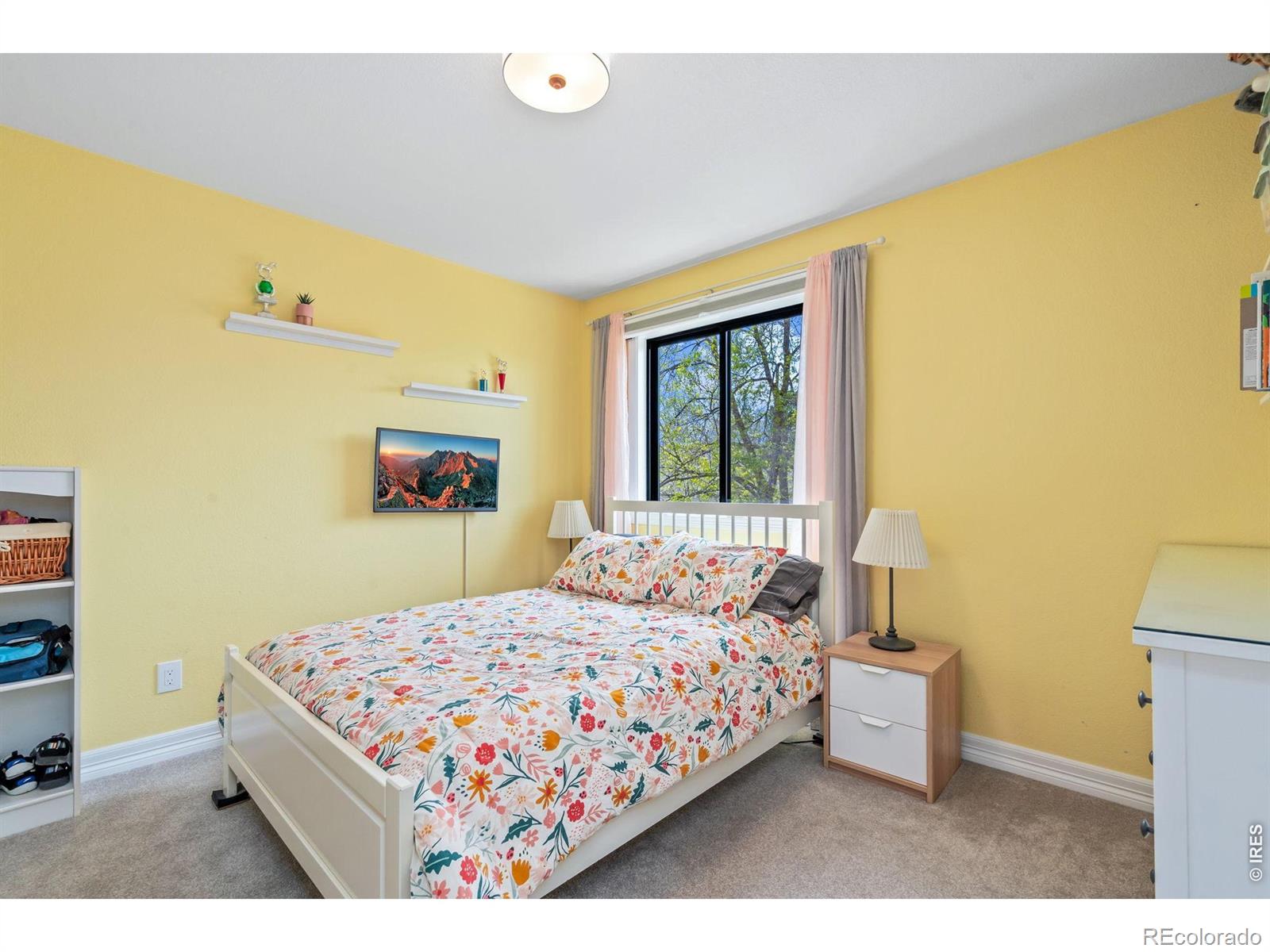 3507 Oak Hill Court Fort Collins CO 80526