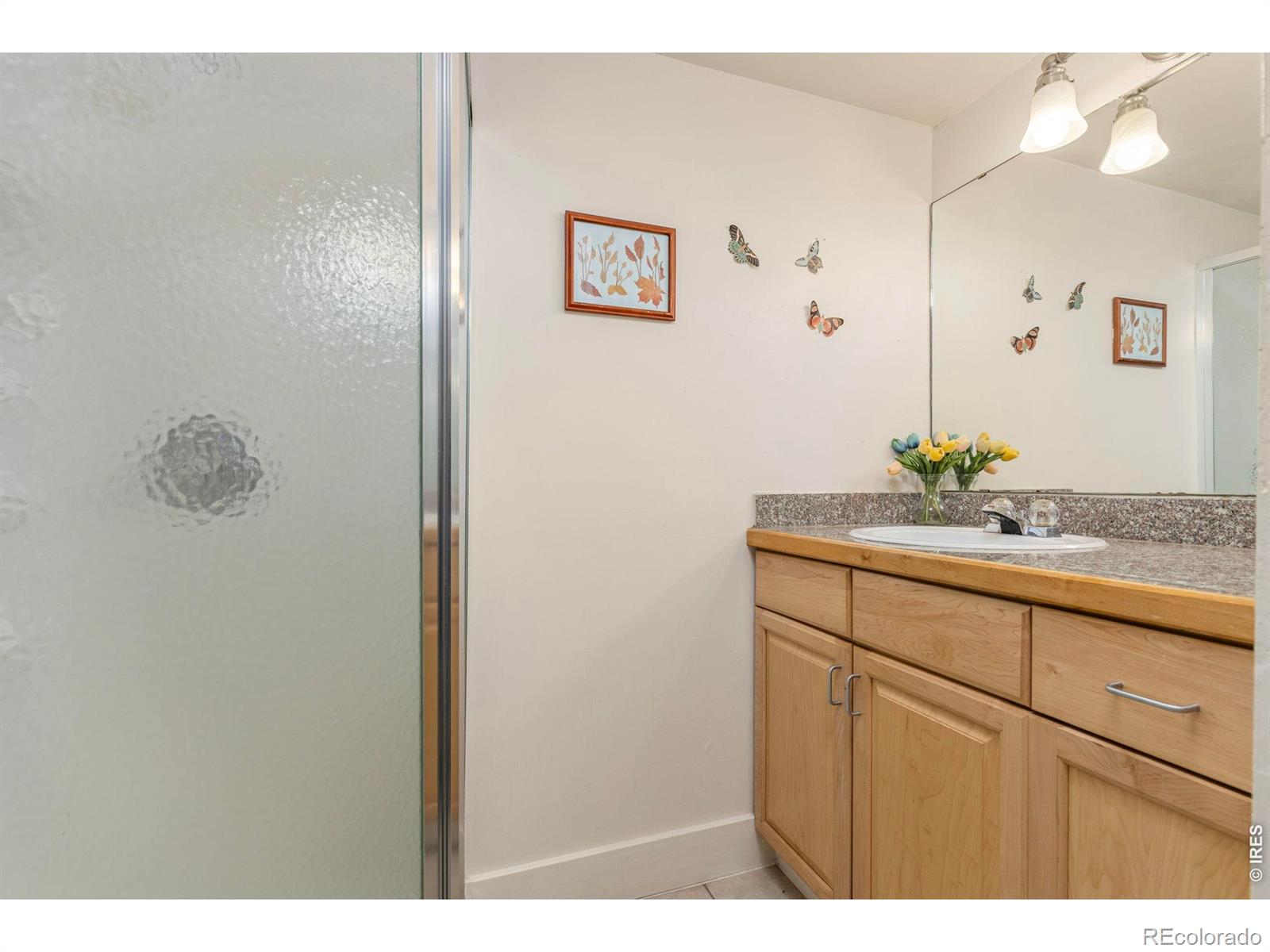206 S Shields Street Fort Collins CO 80521