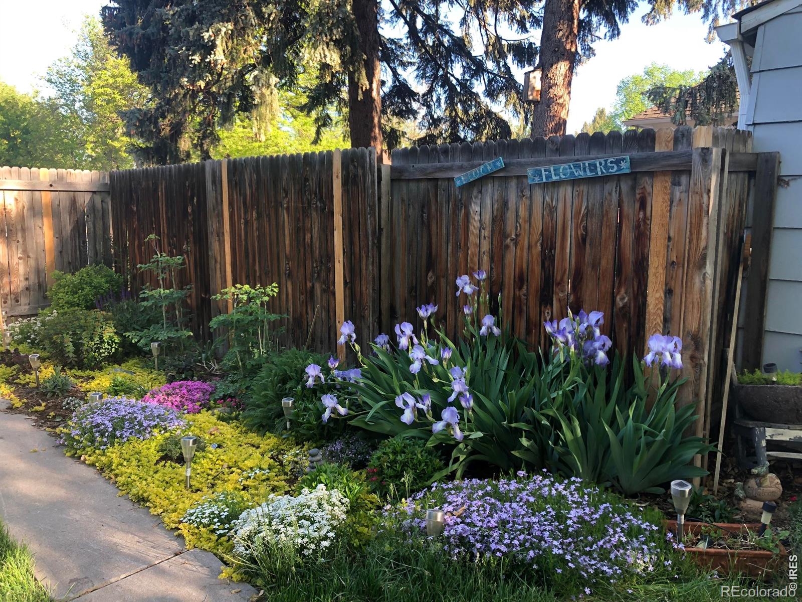 206 S Shields Street Fort Collins CO 80521