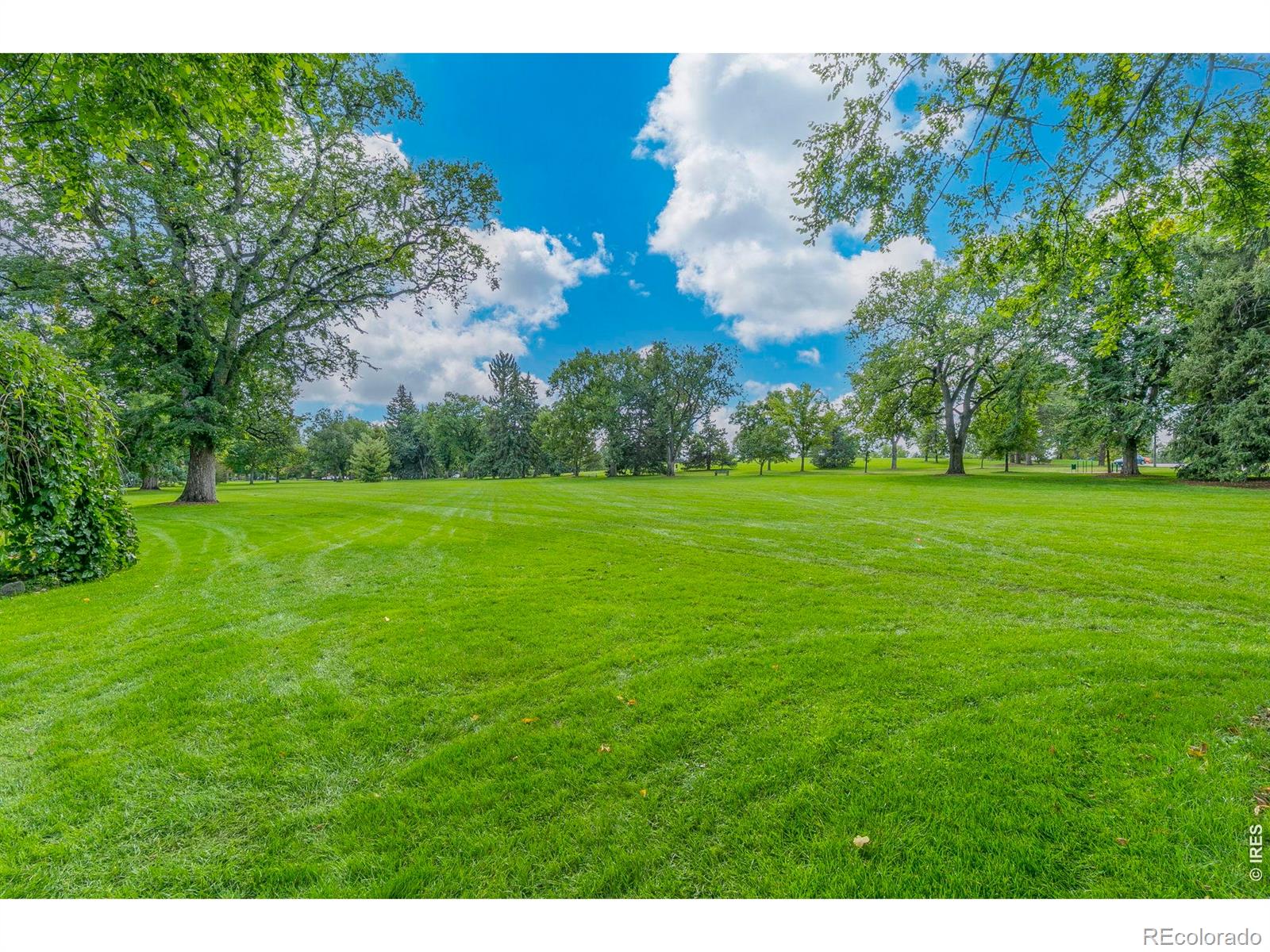 206 S Shields Street Fort Collins CO 80521