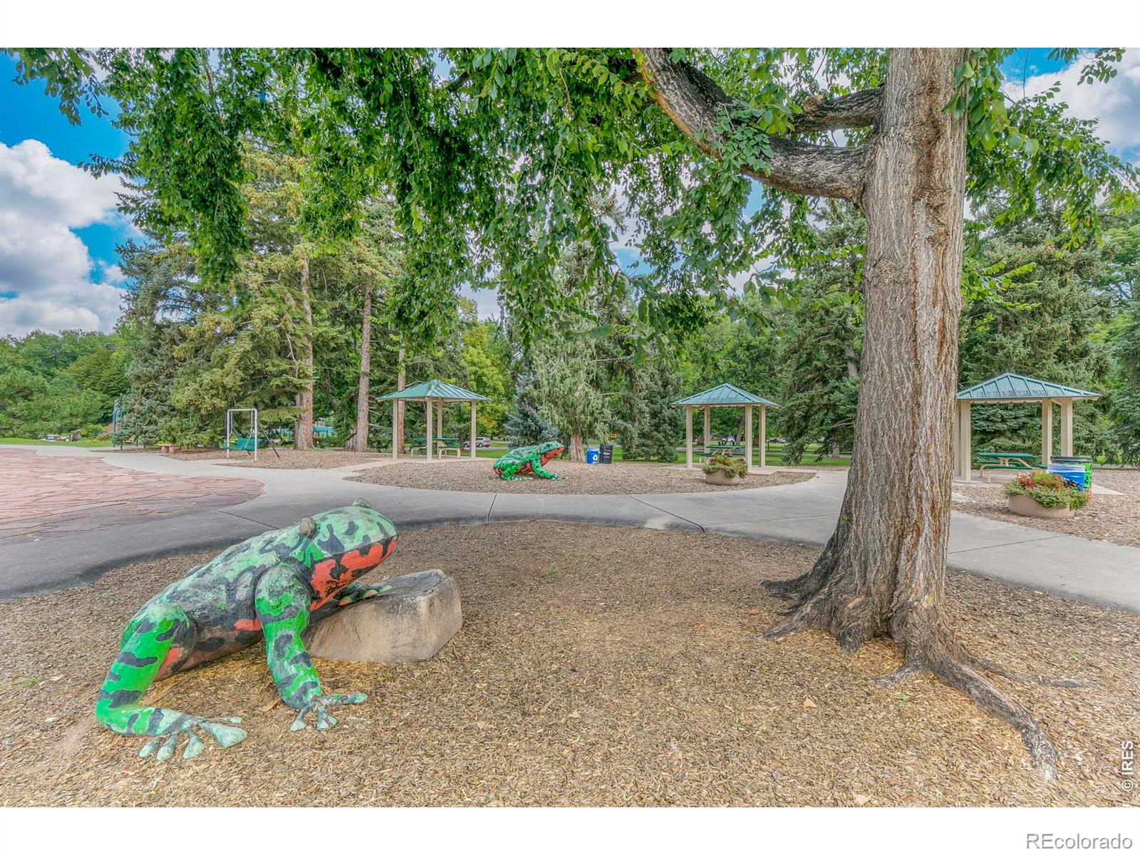 206 S Shields Street Fort Collins CO 80521