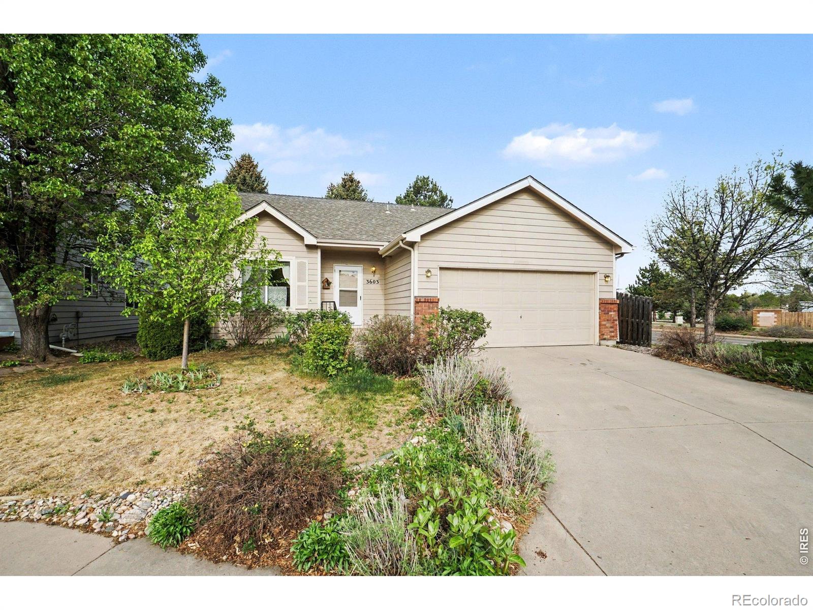 3603 Rockaway Street Fort Collins CO 80526