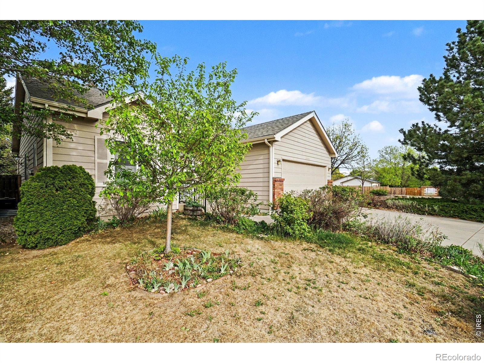 3603 Rockaway Street Fort Collins CO 80526
