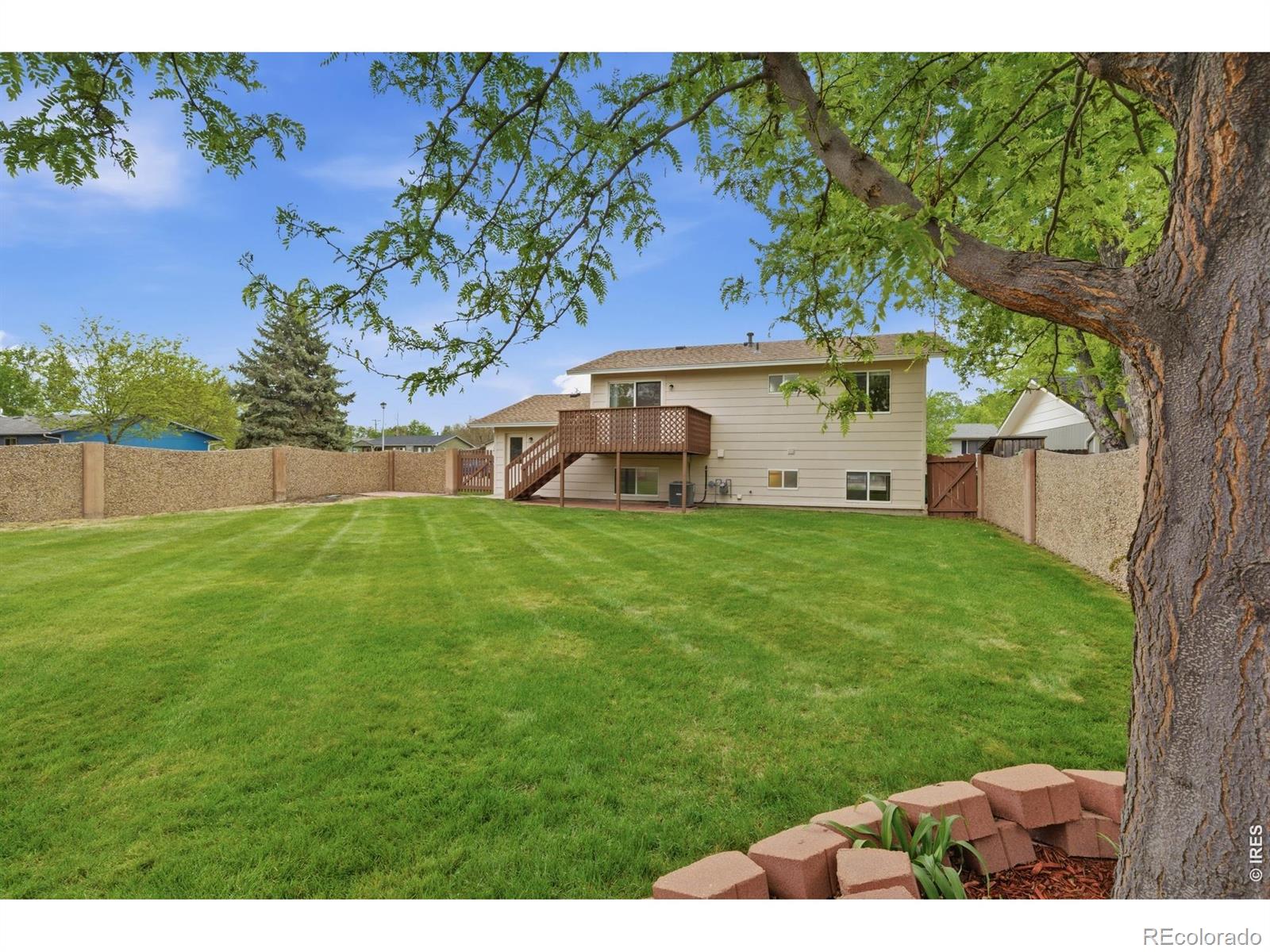 3823 Belmont Avenue Evans CO 80620