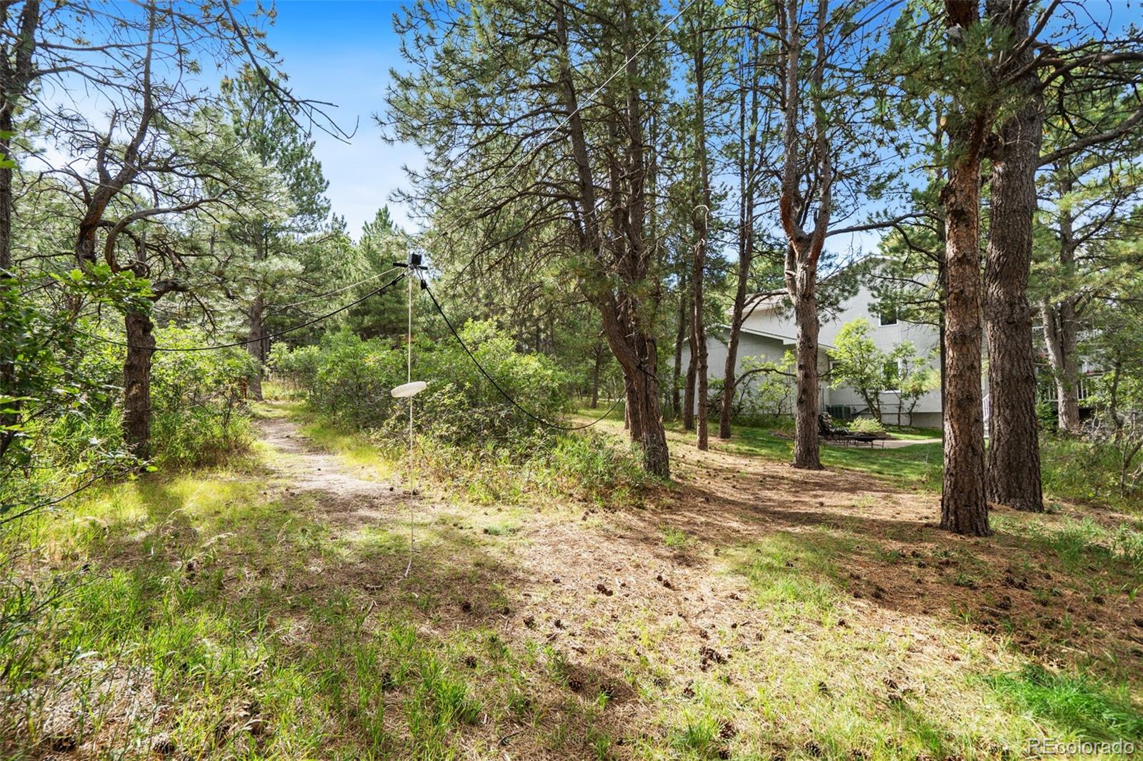 1380 Old Antlers Way Monument CO 80132