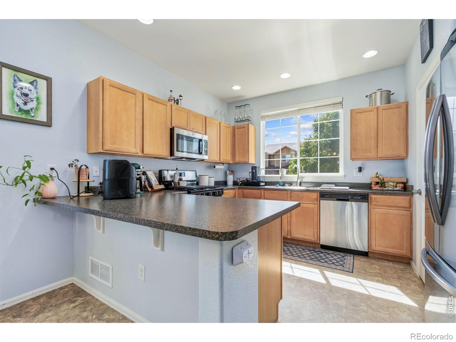 375 Shadowbrook Drive Windsor CO 80550