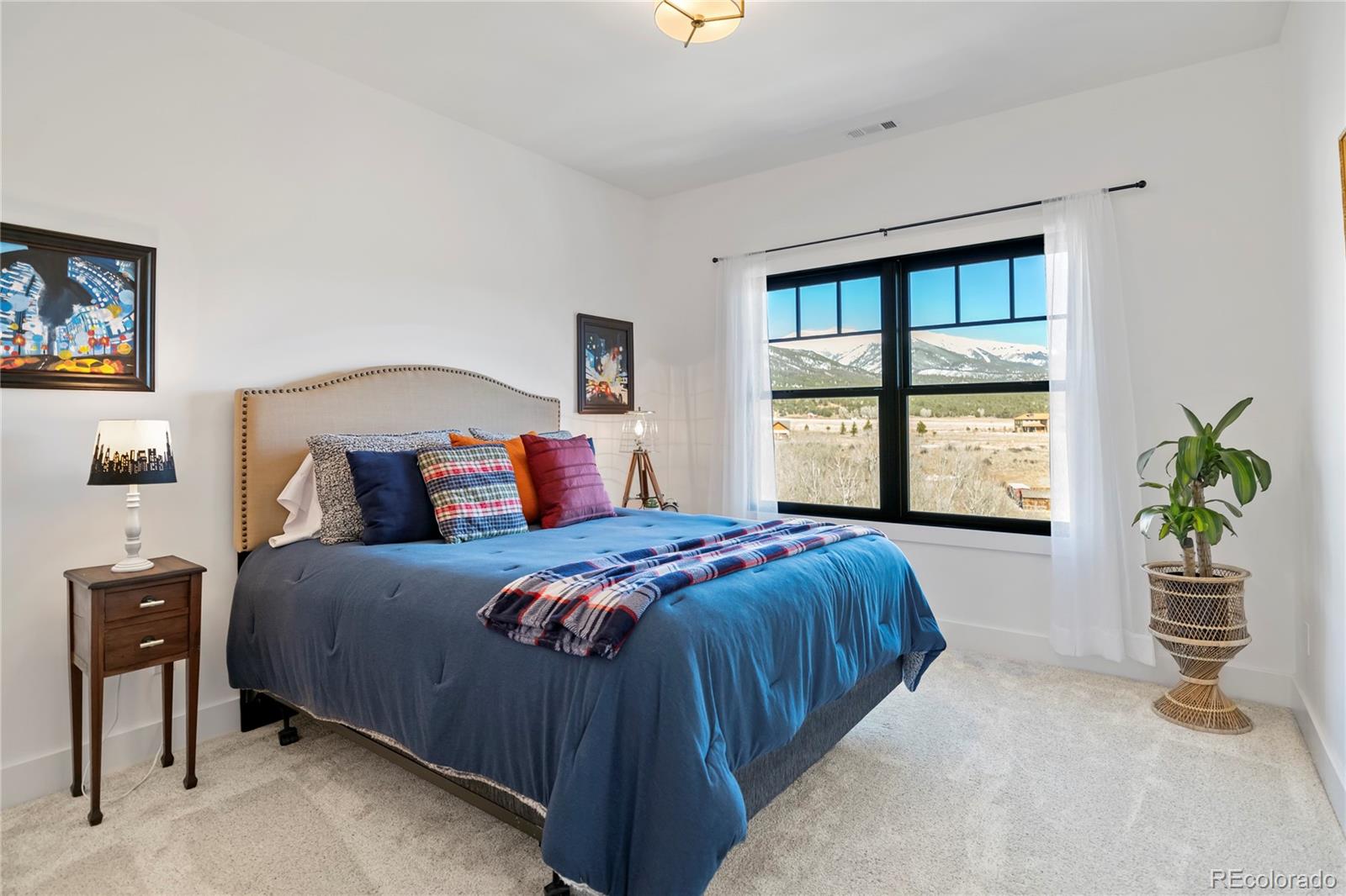 17320 County Road 306 Buena Vista CO 81211