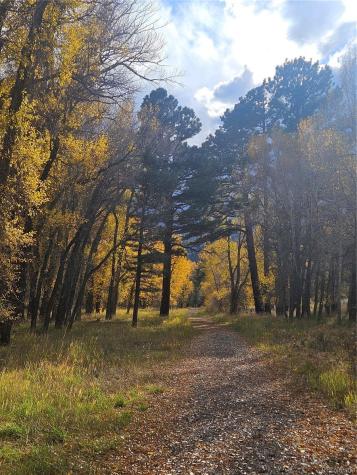 17320 County Road 306 Buena Vista CO 81211