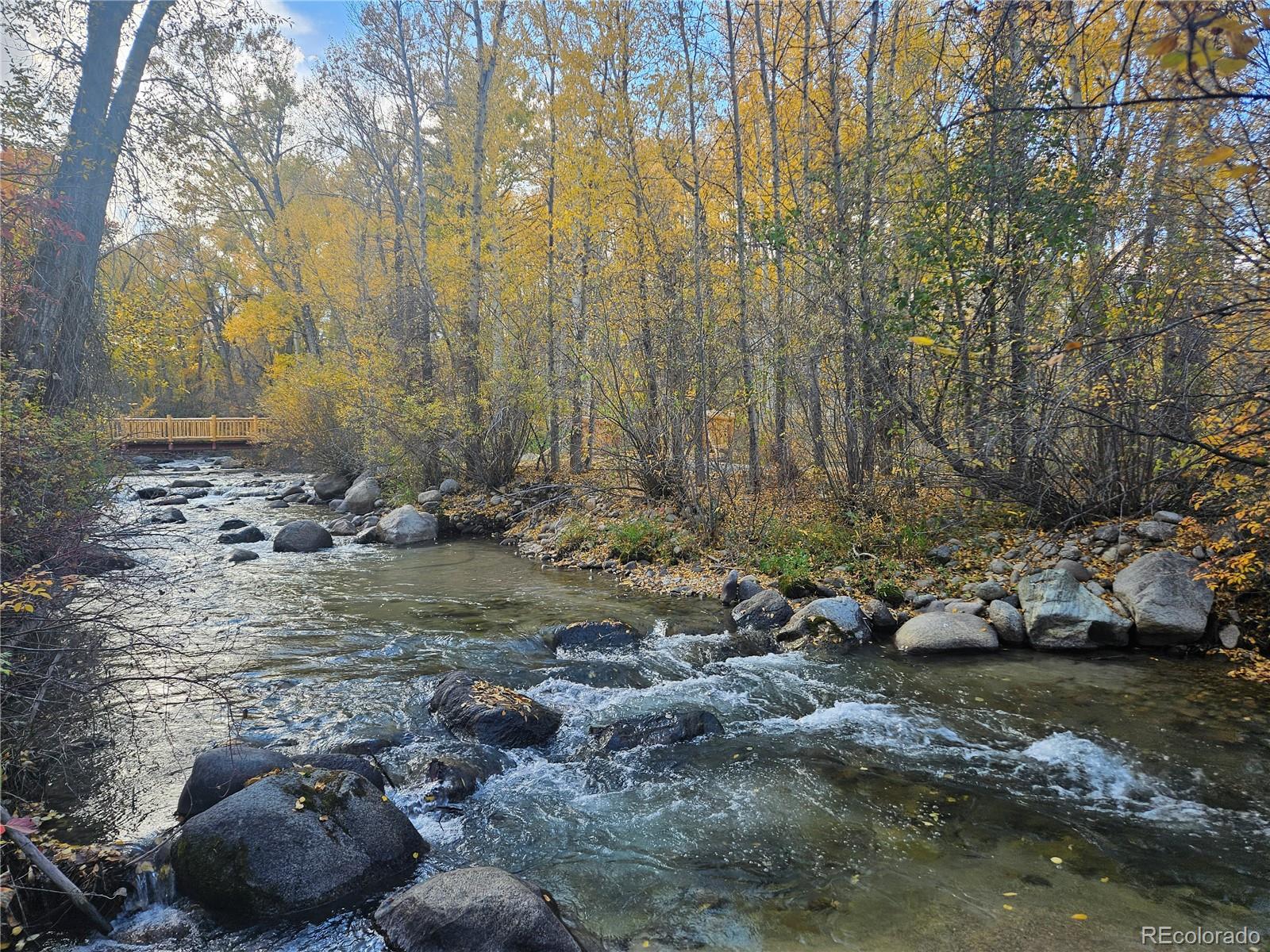 17320 County Road 306 Buena Vista CO 81211