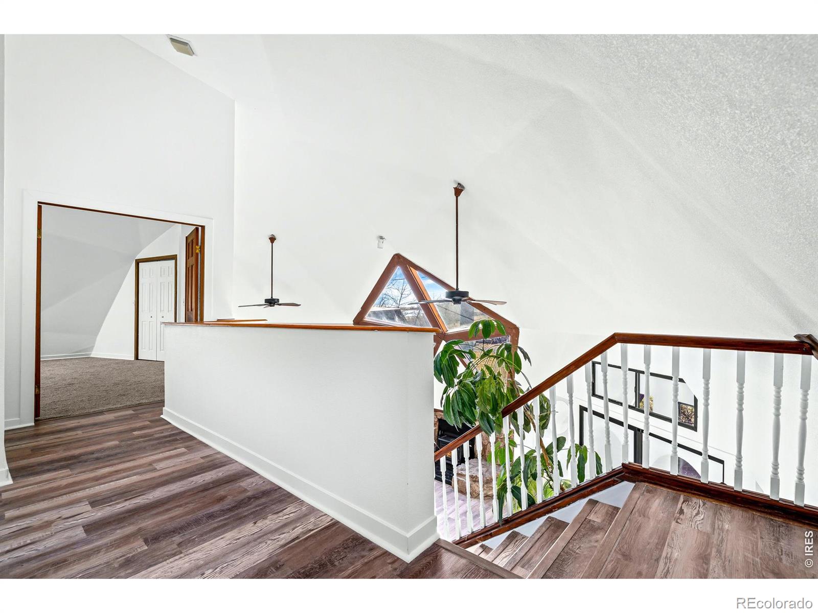 8402 Dome Court Fort Collins CO 80525