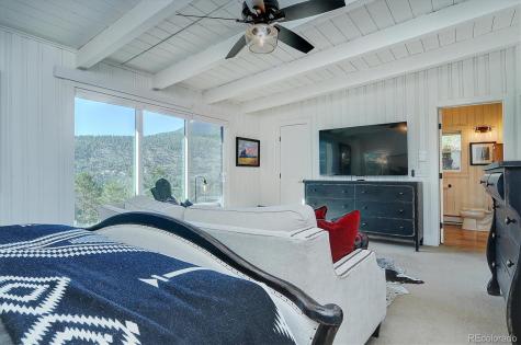 16821 County Road 162 Nathrop CO 81236