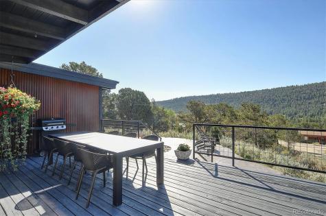 16821 County Road 162 Nathrop CO 81236