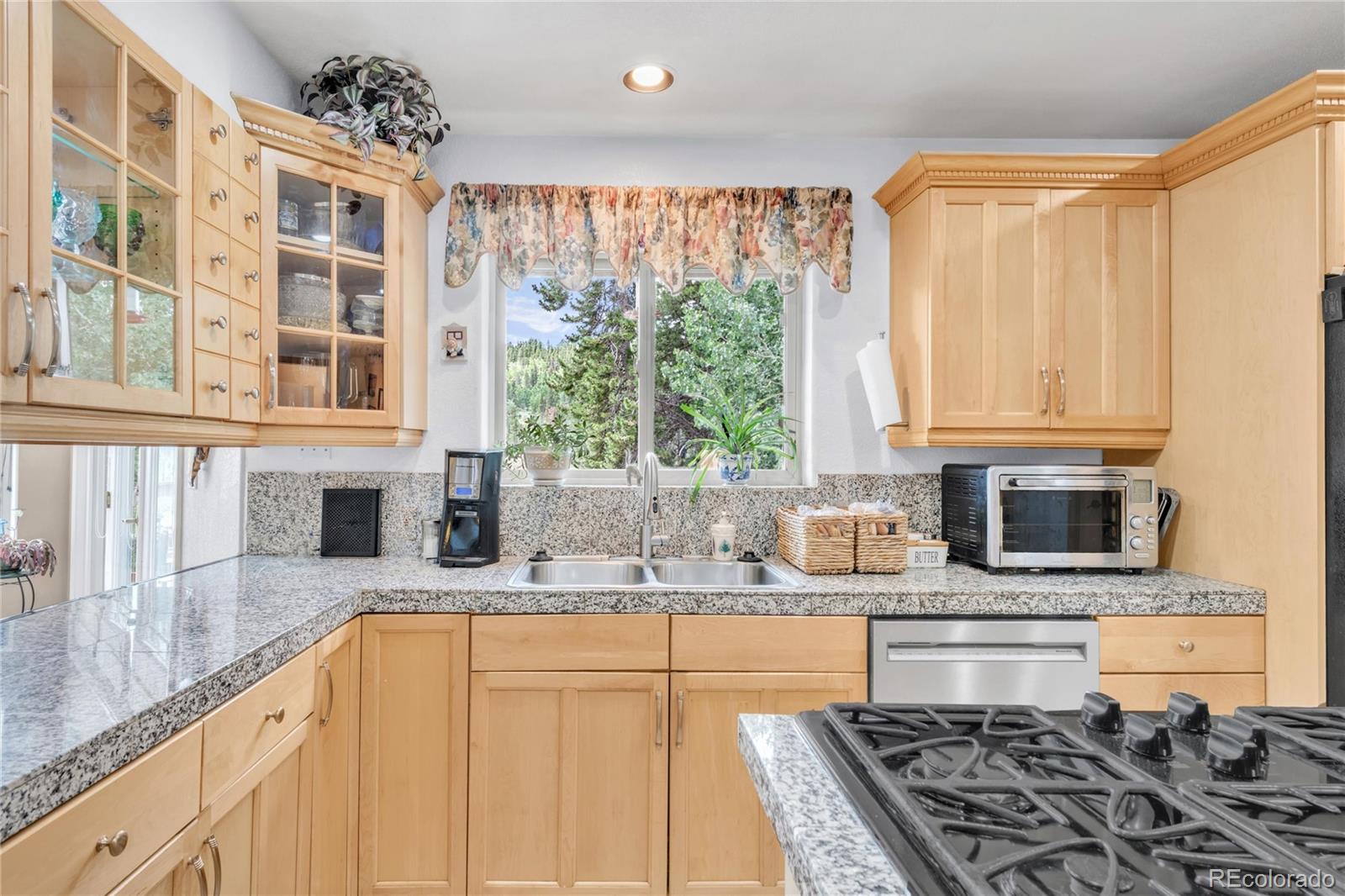 634 N Dory Lakes Drive Black Hawk CO 80422