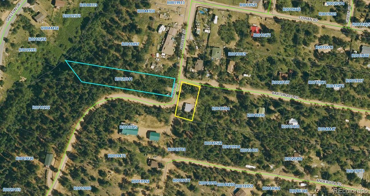 10 Bartimous Road Bailey CO 80421