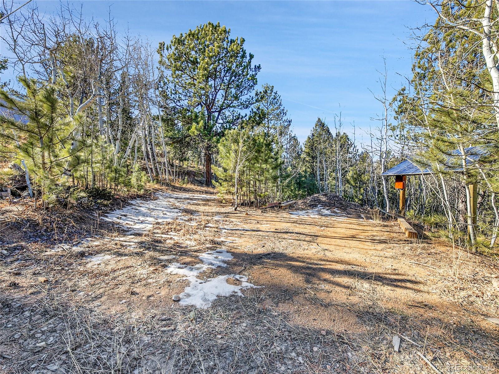 10 Bartimous Road Bailey CO 80421
