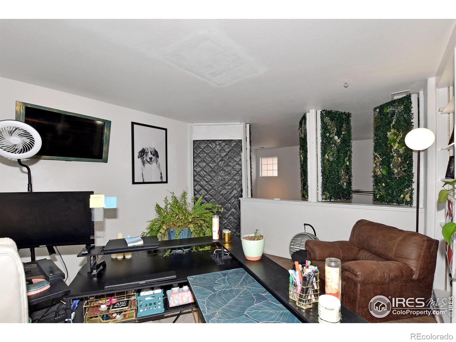 1102 Fenwick Drive Fort Collins CO 80524