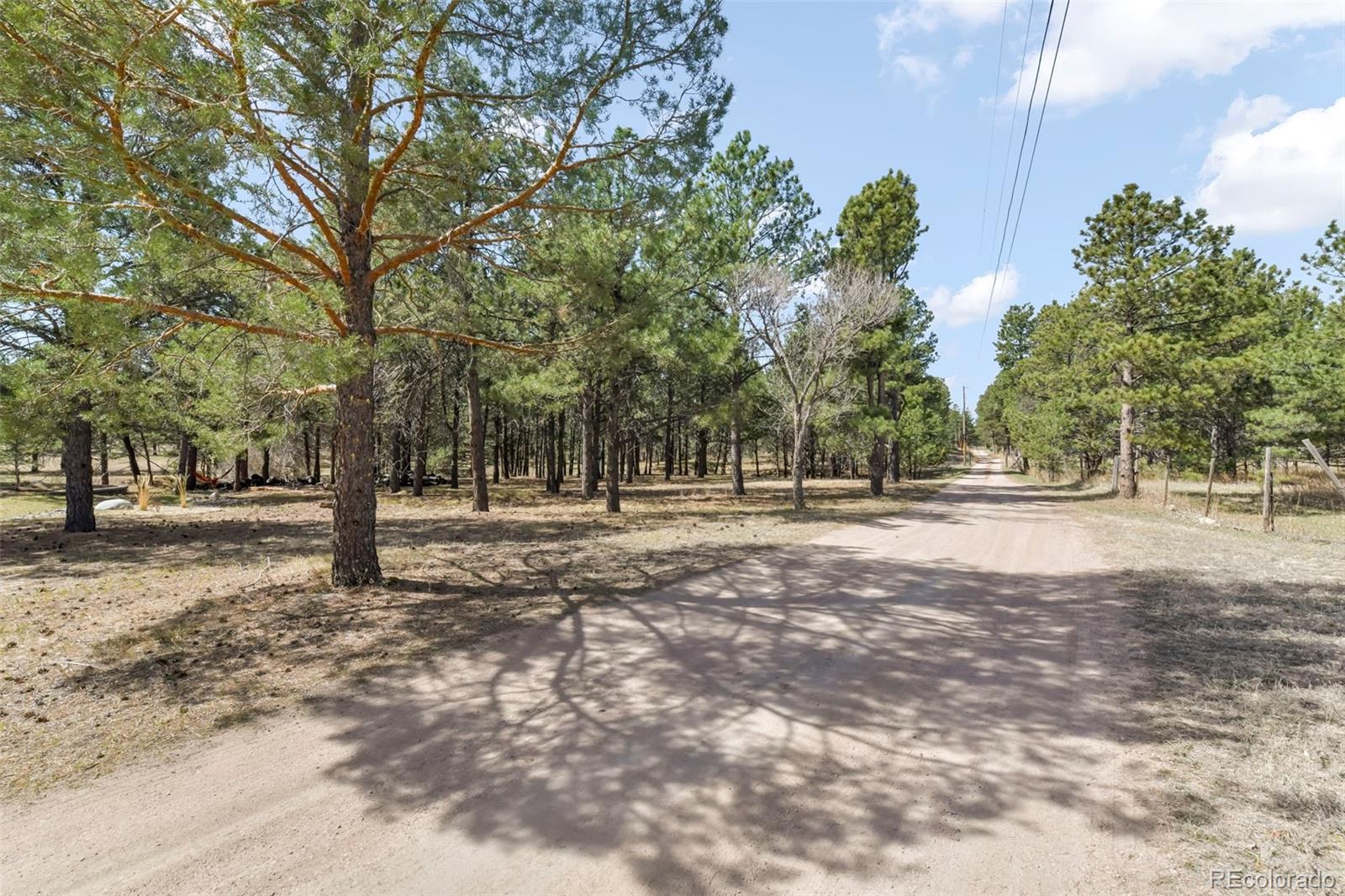 11165 Pine Meadows Road Colorado Springs CO 80908