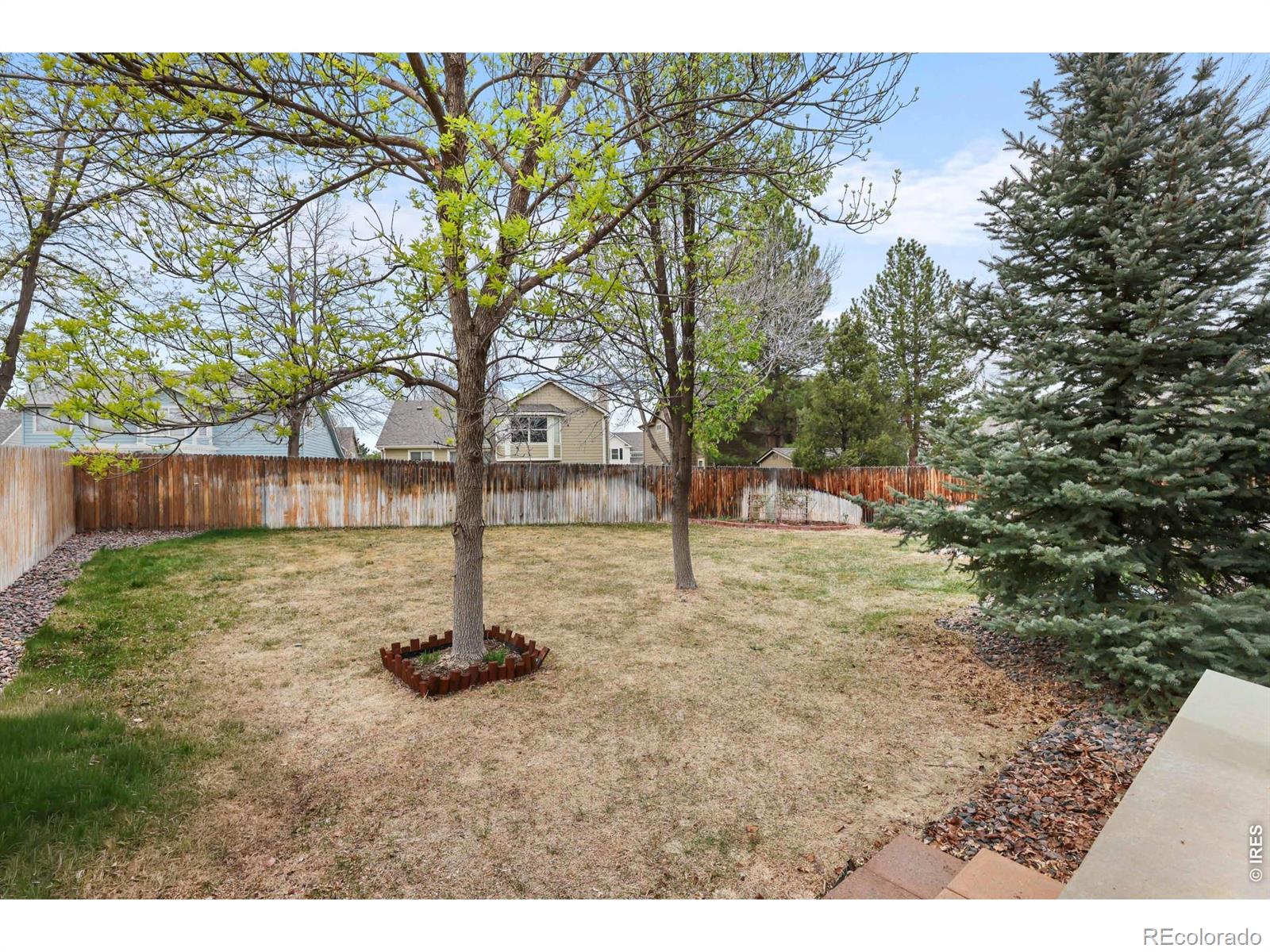 13465 Fillmore Court Thornton CO 80241
