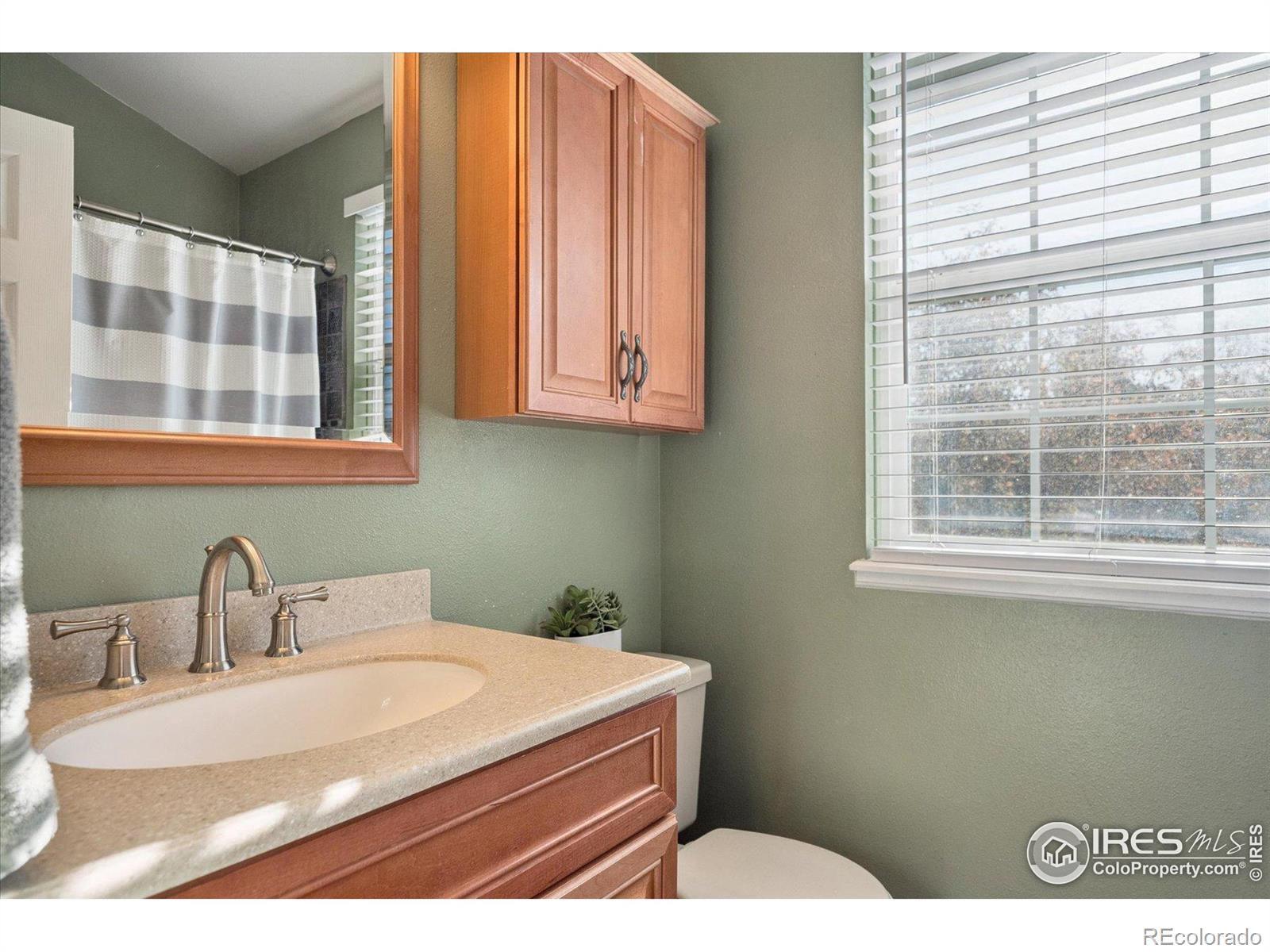 4925 E Ashton Avenue Castle Rock CO 80104