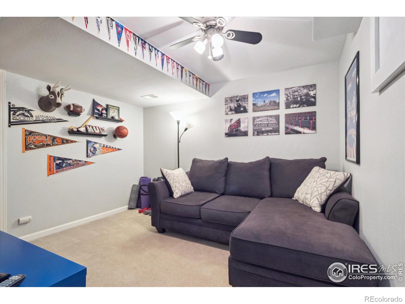 4925 E Ashton Avenue Castle Rock CO 80104
