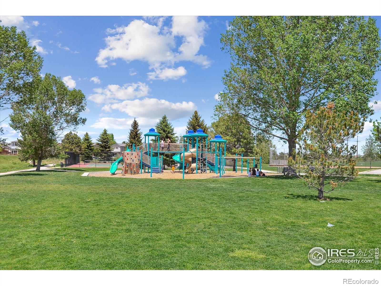 4925 E Ashton Avenue Castle Rock CO 80104