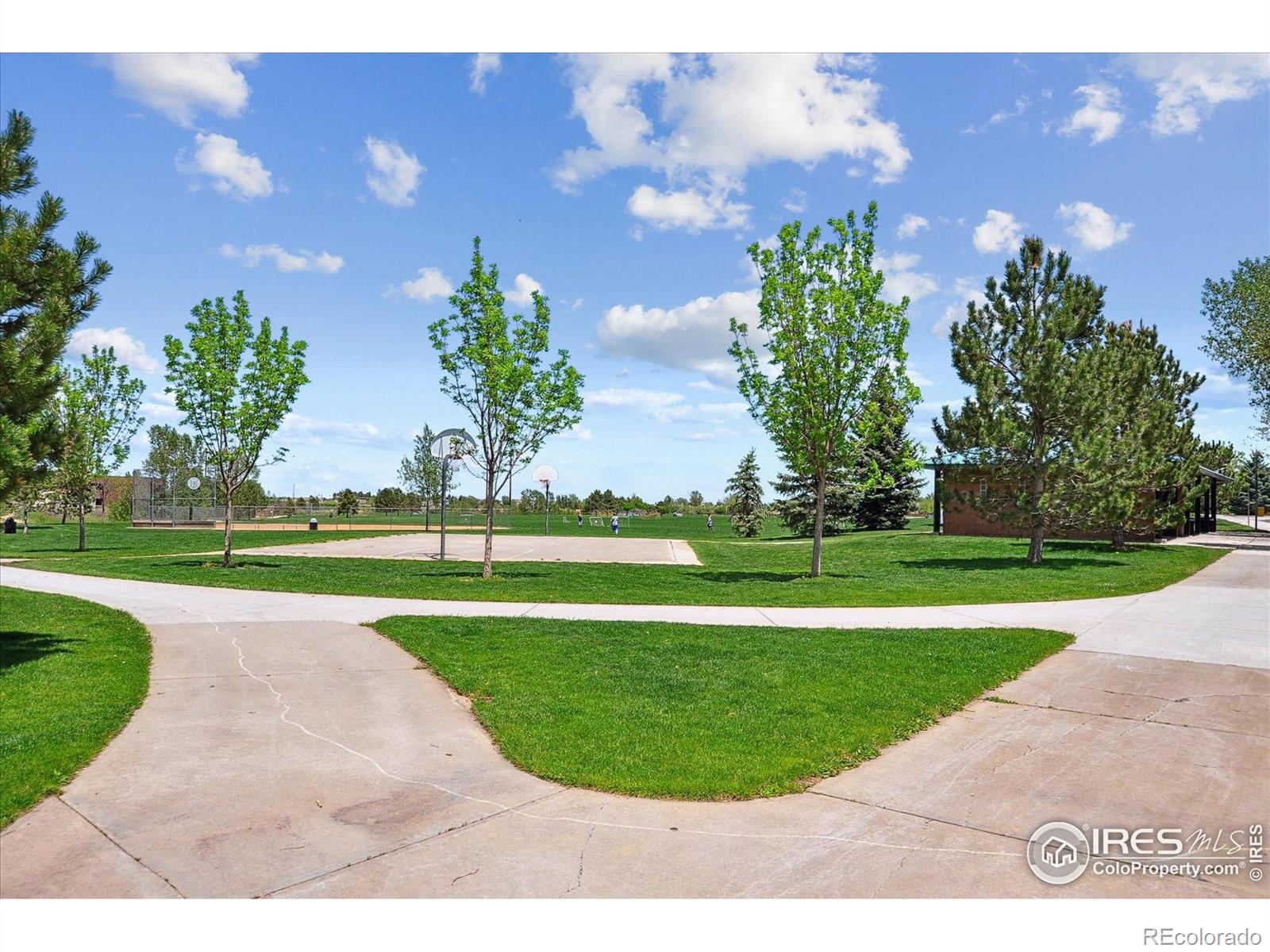 4925 E Ashton Avenue Castle Rock CO 80104