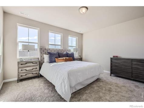 678 Noola Street Windsor CO 80550