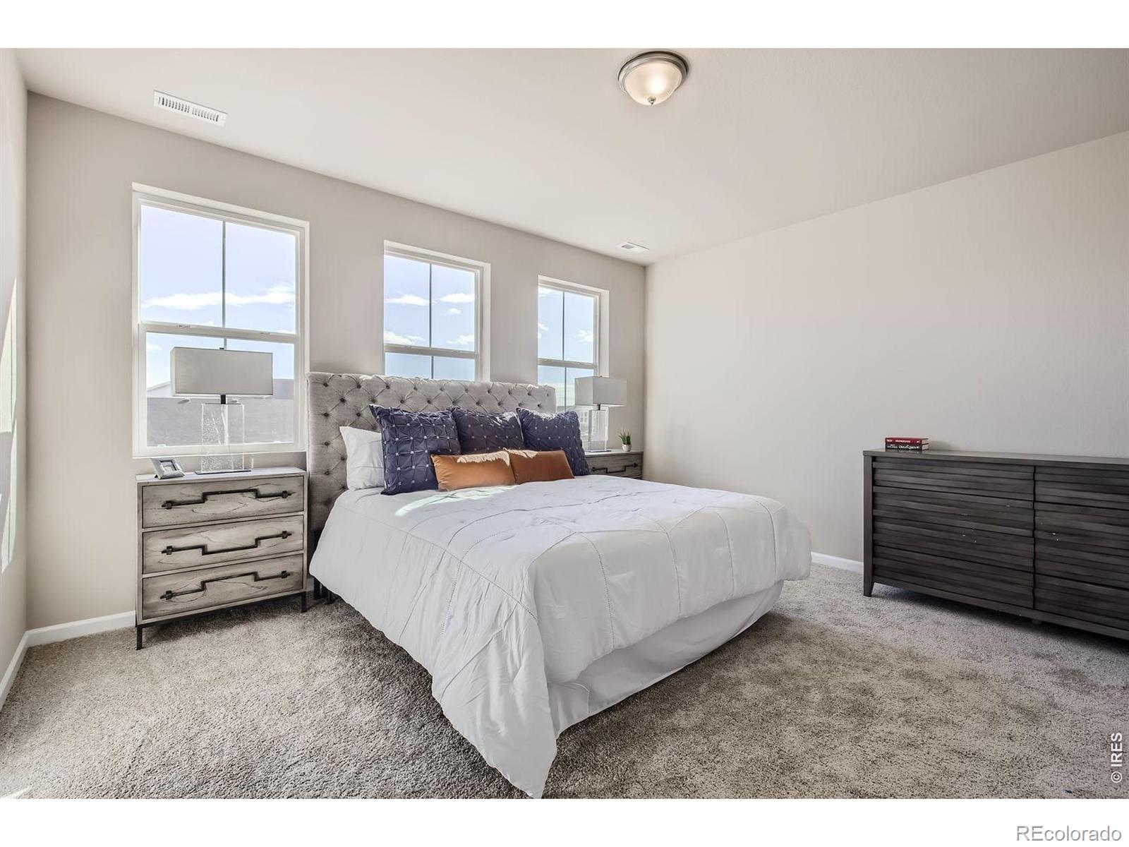 678 Noola Street Windsor CO 80550